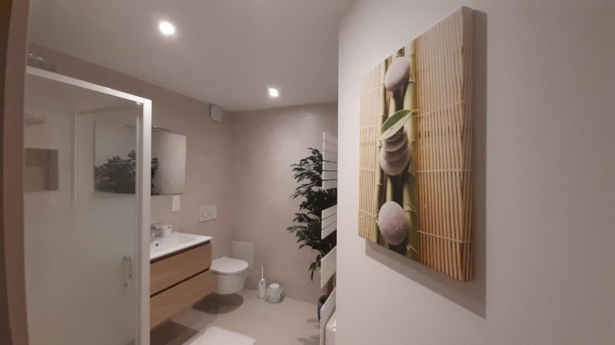 Appartement Vauban Кольмар Экстерьер фото